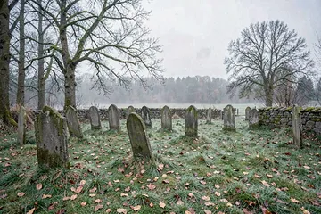 Foggy graveyard at first light: leaning stones, bare trees, no figures